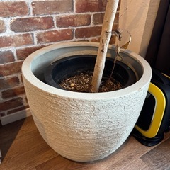 プランターの画像