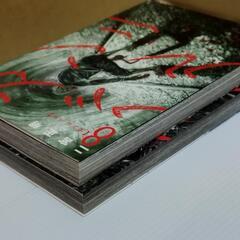【５冊セット】 ガンニバル　2.3.4.6.8 巻セットの画像
