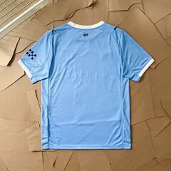 プーマ マンチェスター シティ ホーム ファン エディション ジャージ クイック ドライ Tシャツの画像
