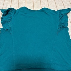 レディースTシャツLの画像