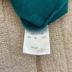 レディースTシャツLの画像