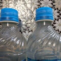 水分補給にミネラル600ml.グリーンカラダの画像