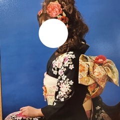振り袖 一式セットの画像