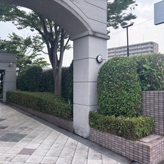 	🌱自然好き集まれ！日当1万円〜15,000円／庭仕事・外構工事スタッフの画像