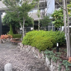 	🌱自然好き集まれ！日当1万円〜15,000円／庭仕事・外構工事スタッフの画像