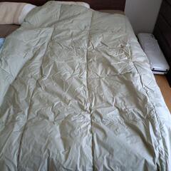 羽毛肌掛布団オールシーズン使える快適商品水鳥の知恵と機能をもったダウンとフェザーの画像