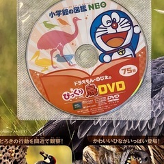 小学館の図鑑　NEO 鳥　DVD付きの画像