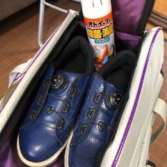 ボーリング玉/バックの画像