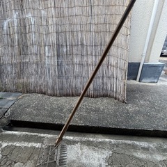 貝取りじょれんの画像