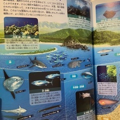 小学館の図鑑　NEO 魚　DVD付き　おまけつきの画像