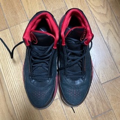 ナイキ Air Jordan 2010 Team 
の画像