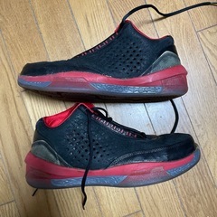 ナイキ Air Jordan 2010 Team 
の画像