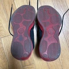 ナイキ Air Jordan 2010 Team 
の画像