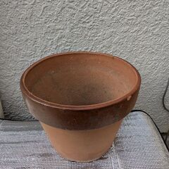 多肉植物たち、植木鉢、鉢皿の画像
