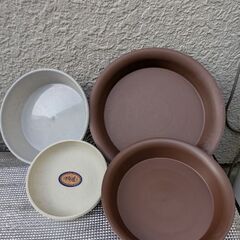 多肉植物たち、植木鉢、鉢皿の画像