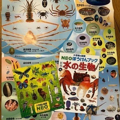 小学館の図鑑　NEO 水の生物　おまけつきの画像