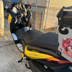 xmax250の画像