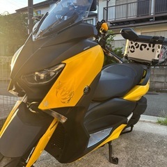 xmax250の画像