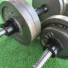 ダンベルセット 筋トレの画像