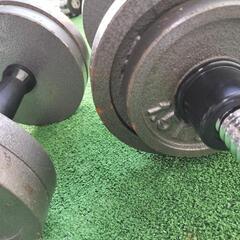 ダンベルセット 筋トレの画像