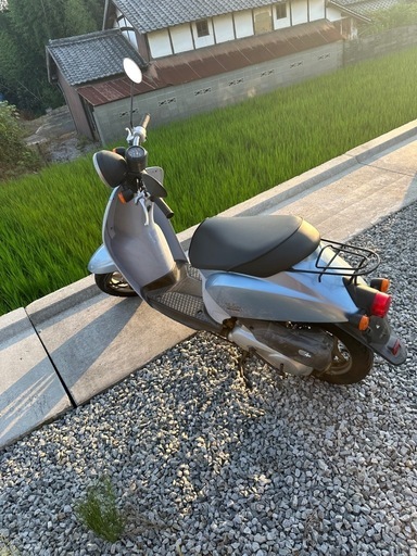 トゥデイ自賠責付き