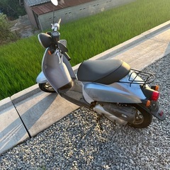 トゥデイ自賠責付きの画像