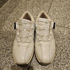 ゴルフ シューズの画像