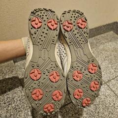 ゴルフ シューズの画像
