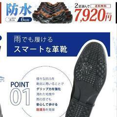 ビズアートビニール靴26.0センチの画像
