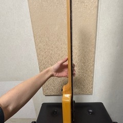 STEIN BERGER (スタインバーガー)   ヘッドレスギター　 spirit  collection　GT-PROの画像