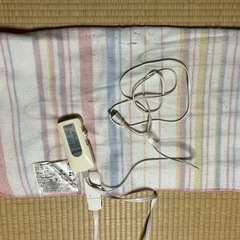 電気毛布の画像