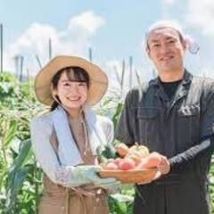野菜作り　農業してます（助けてください）
