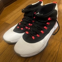 NIKE スニーカー　29.5の画像