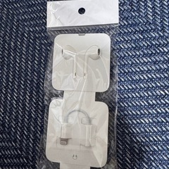 Apple earpods Lightningの画像