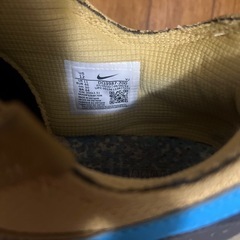 NIKE スニーカー　30cmの画像