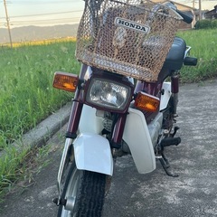 ホンダ　シャリー　12V 低走行車の画像