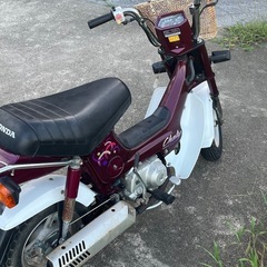 ホンダ　シャリー　12V 低走行車の画像