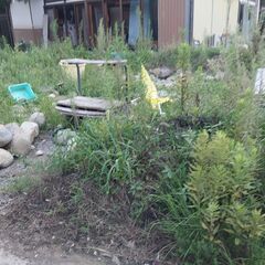 残土 無料 好きな時に取って行っての画像