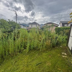 関東圏、空き地などの草刈り承ります。