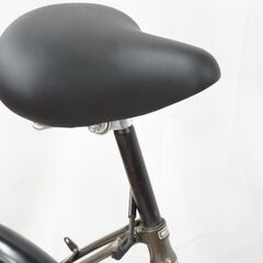 ZEEK 20インチ シティサイクルの画像