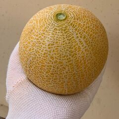 マスクメロン ２個セット ※ 訳ありの画像