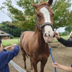 【茨城県】子ども向け！乗馬＆カウボーイ教室🎯9月生募の画像