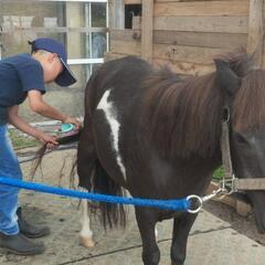 【茨城県】子ども向け！乗馬＆カウボーイ教室🎯9月生募の画像