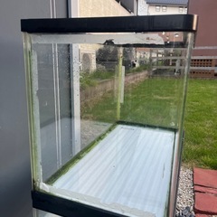 コトブキ水槽60の画像
