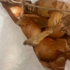 食品の画像
