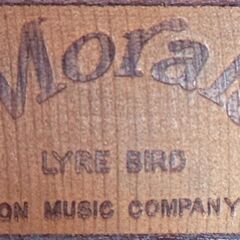 【ジャングルジャングル堺初芝店】　Ｍorales　LYREBIRD　Ｍ-35　アコースティックギター　堺市（東区　西区　北区　南区　堺区　美原区）高石市　泉大津市　忠岡町　和泉市　松原市　大阪狭山市の画像