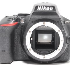 タッチパネル・バリアングル液晶で楽しく撮影 Nikon D5500 WiFi搭載の画像