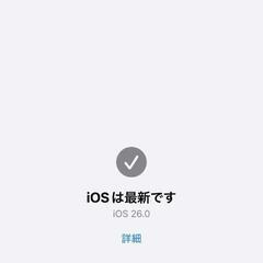 iPhone　【iOS26】ナチュラルチタニウム　128GB SIMフリーの画像