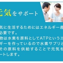 ハセトール【最新式水素サプリメント】の画像