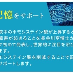 ハセトール【最新式水素サプリメント】の画像